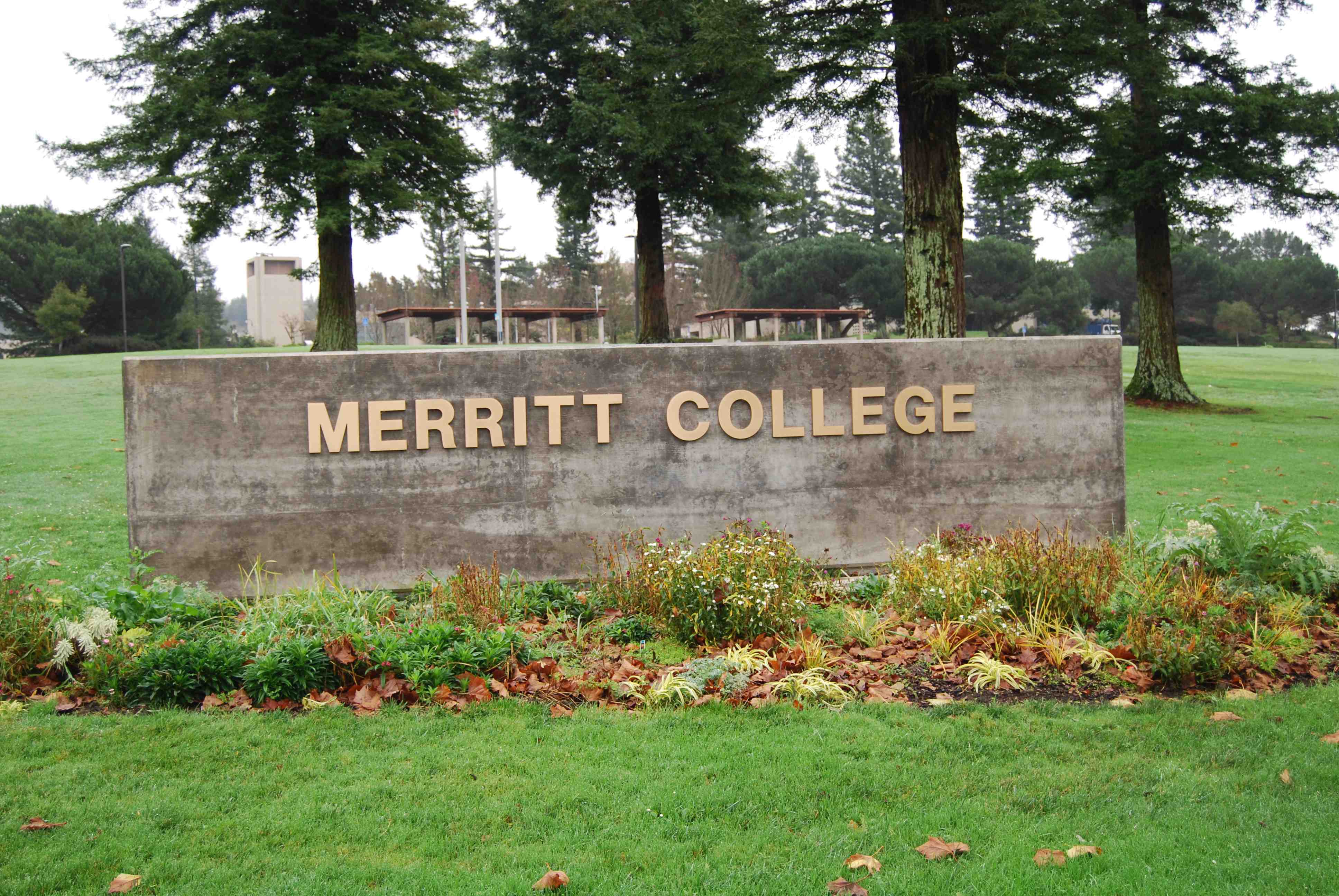 Merritt College 65